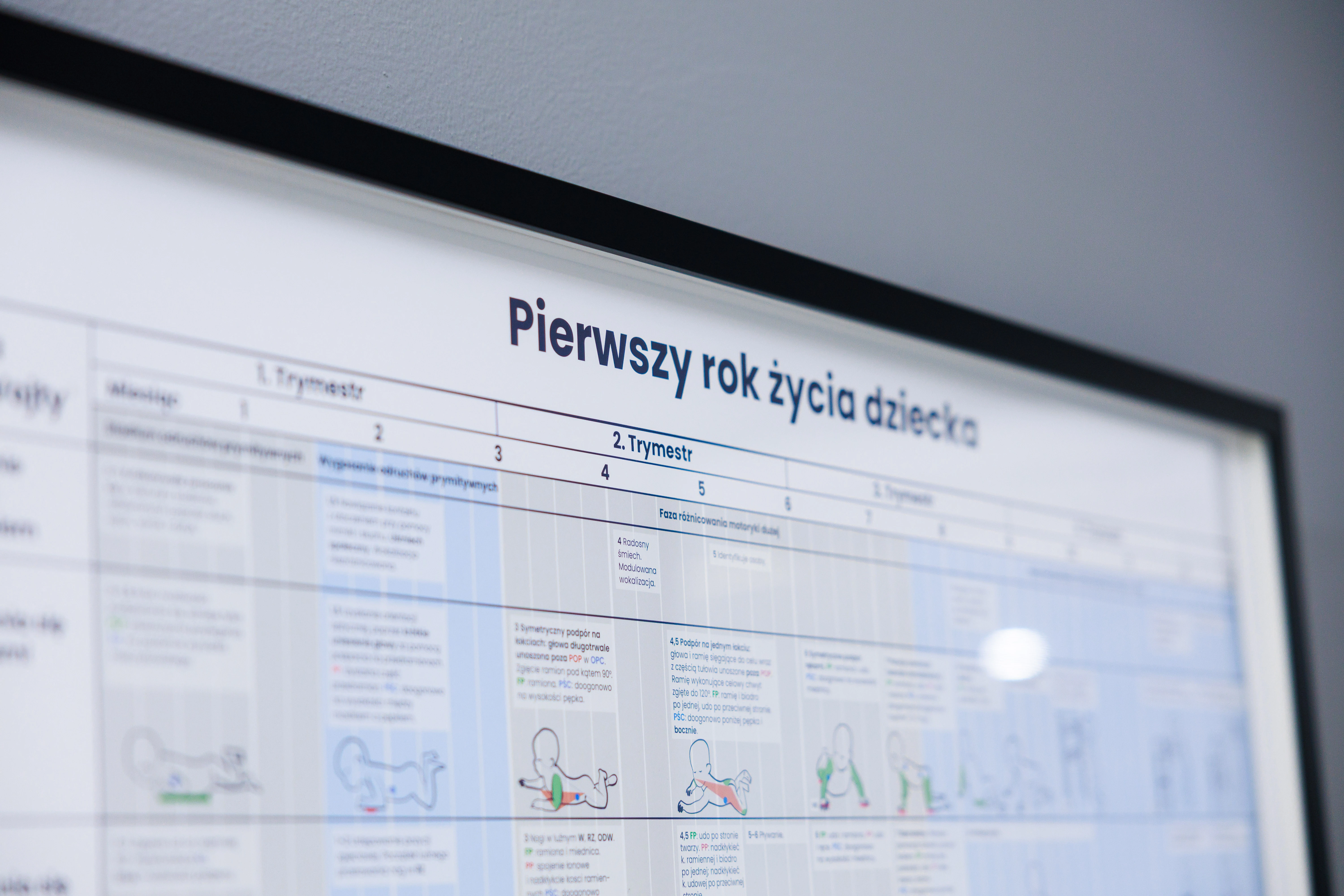 Tablice diagnostyczne - tabela rozwoju pierwszy rok życia dziecka do ramki KLINIKA SMYKA 3