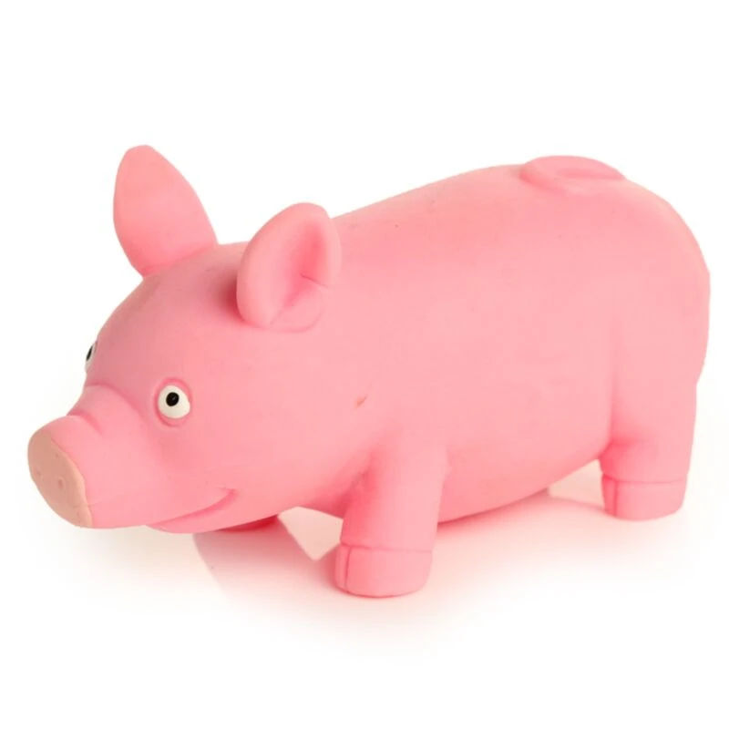 Swinka2 klinikasmyka